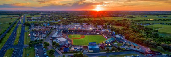 MiLB Profile Banner