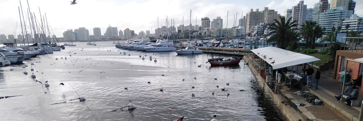 Mónica Michelis banner