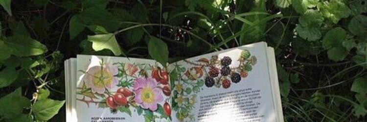 ednoying's profile banner image