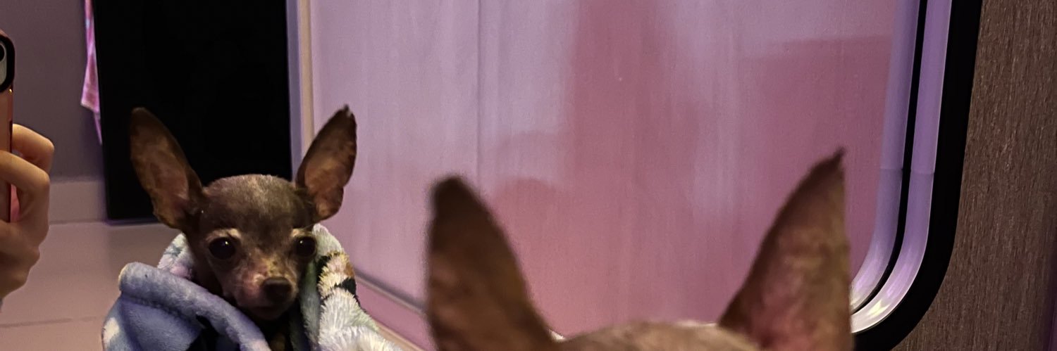 analirezam's profile banner image