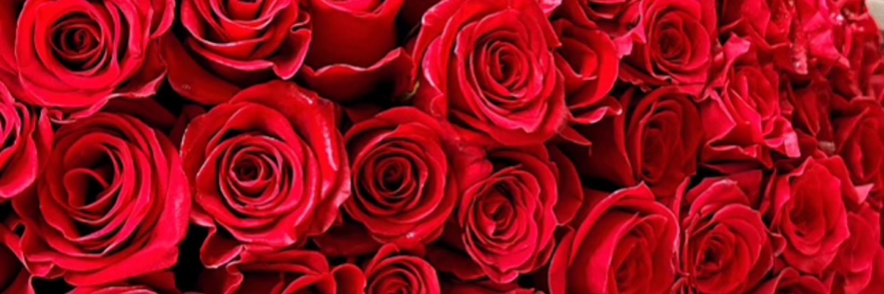 _ImDaPlugg_'s profile banner image