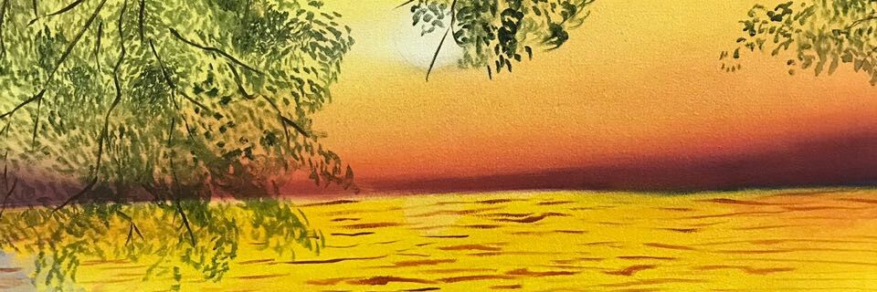 Nicolas Corso S banner
