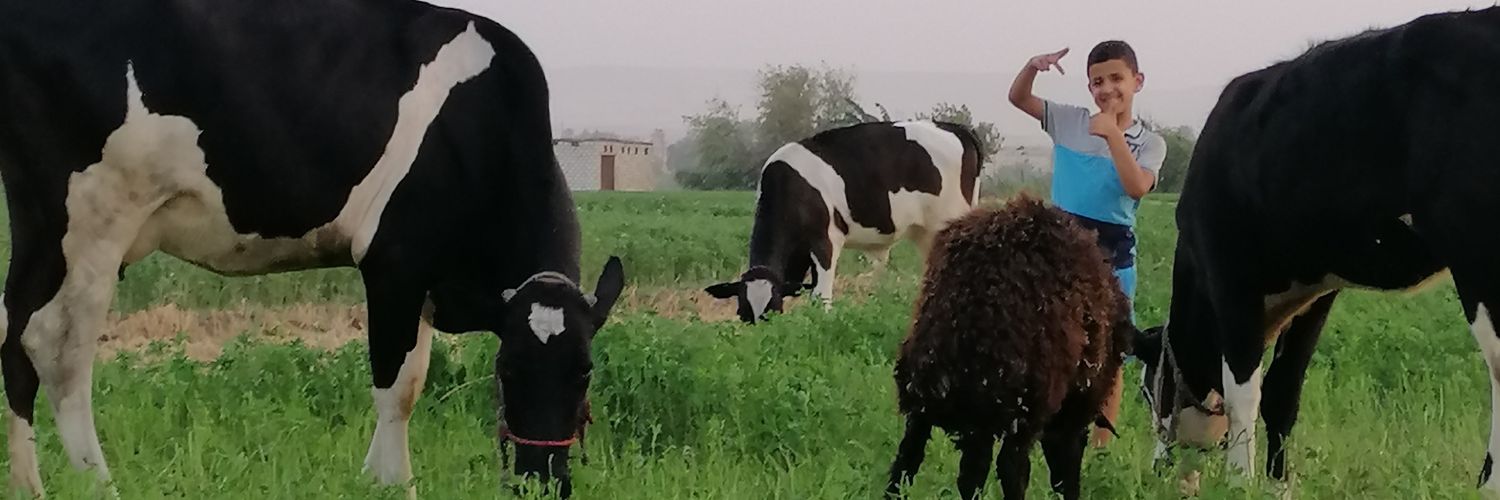 mi39331's profile banner image