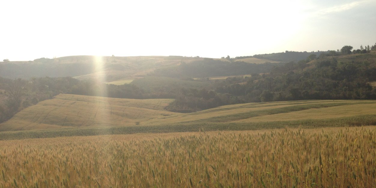 guiialberton's profile banner image