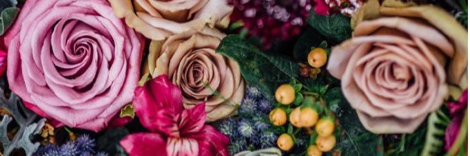 _haybale's profile banner image