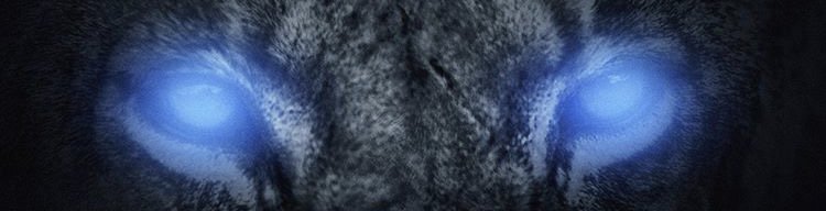ftAEjerz's profile banner image
