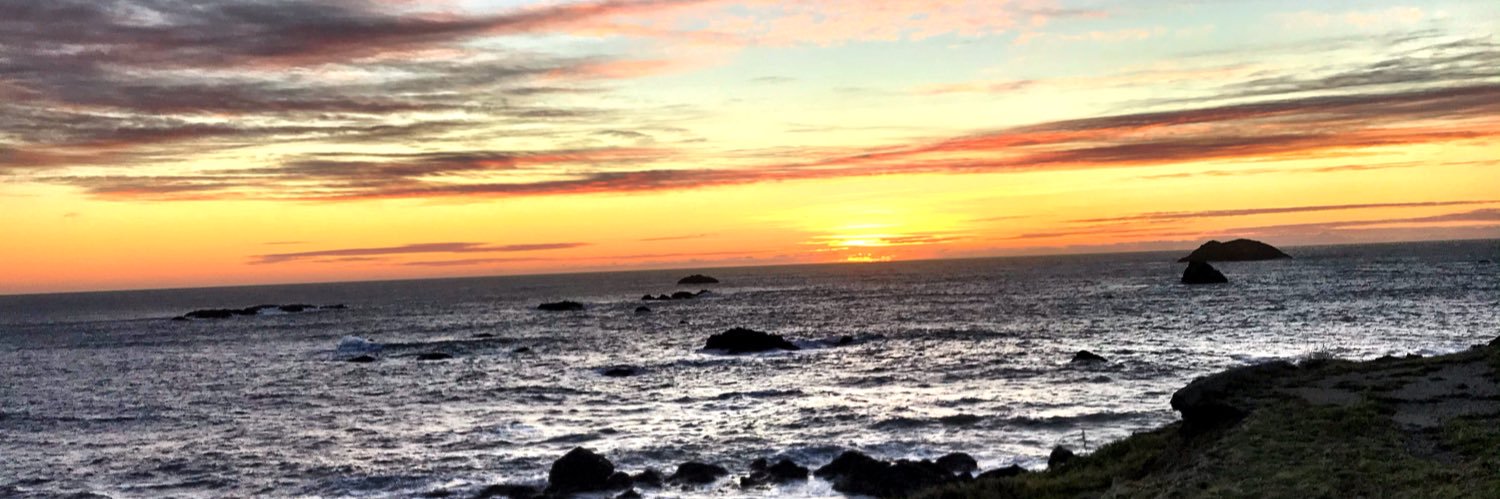 TiffanyWaterworth banner