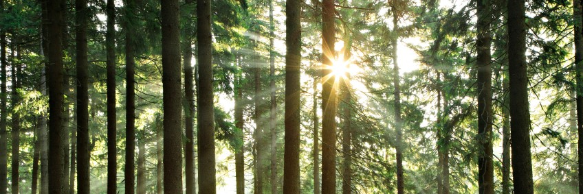 MrJBarfield's profile banner image