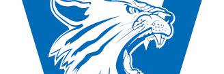 WCAsports's profile banner image