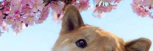 juicybae69's profile banner image