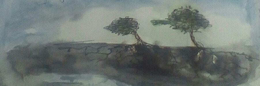 MichaelHayte's profile banner image