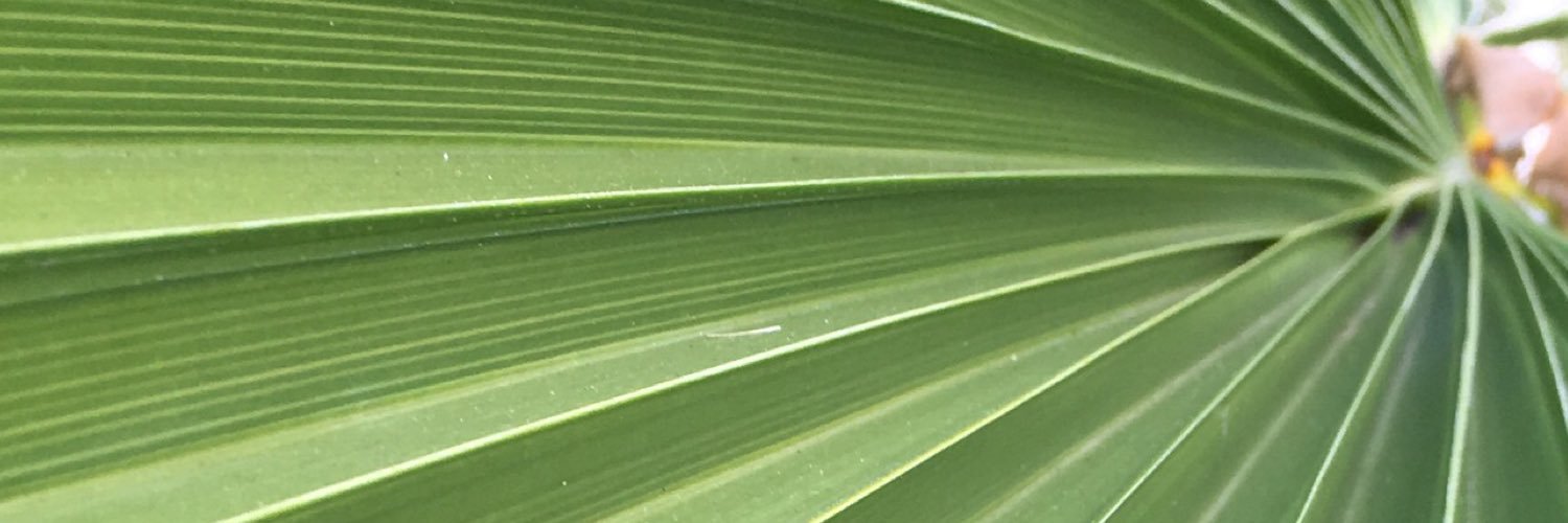 swehbz03's profile banner image