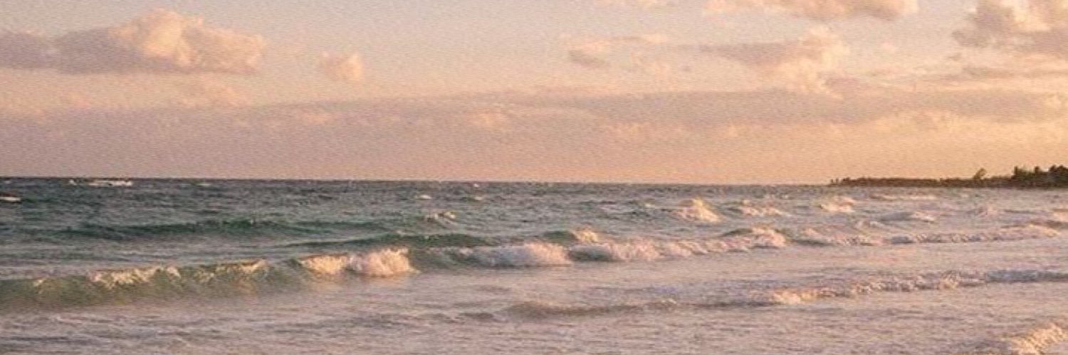 nahideartt's profile banner image