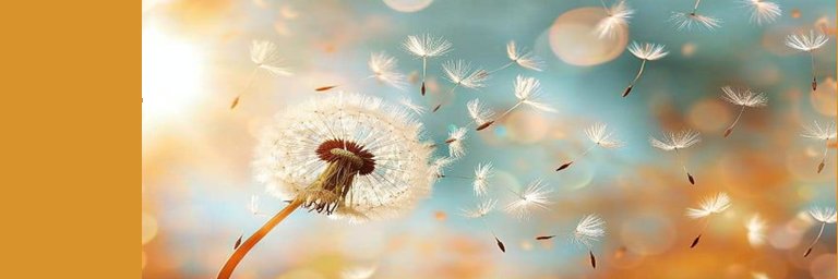 AnrinetBrink's profile banner image
