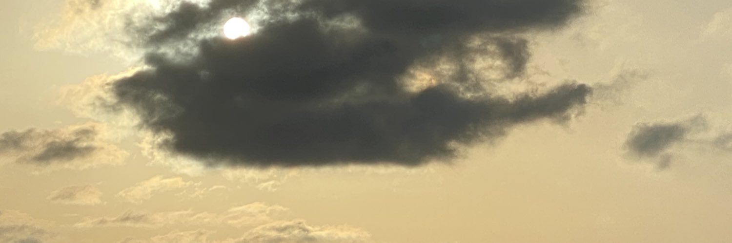 flako_art's profile banner image