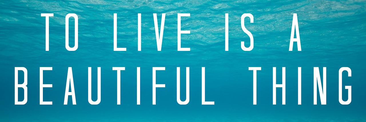 quoteofeveryday's profile banner image