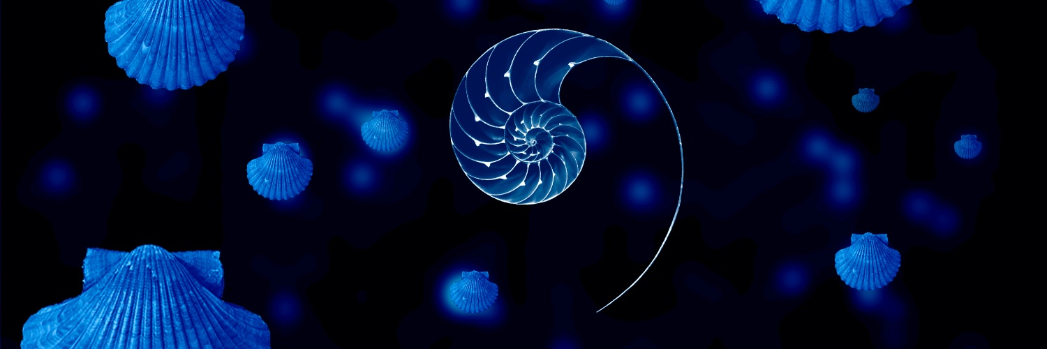 LMorselli's profile banner image