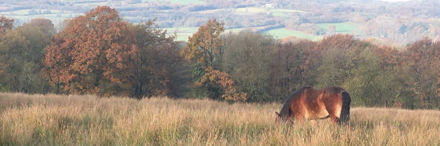 HebAshley's profile banner image