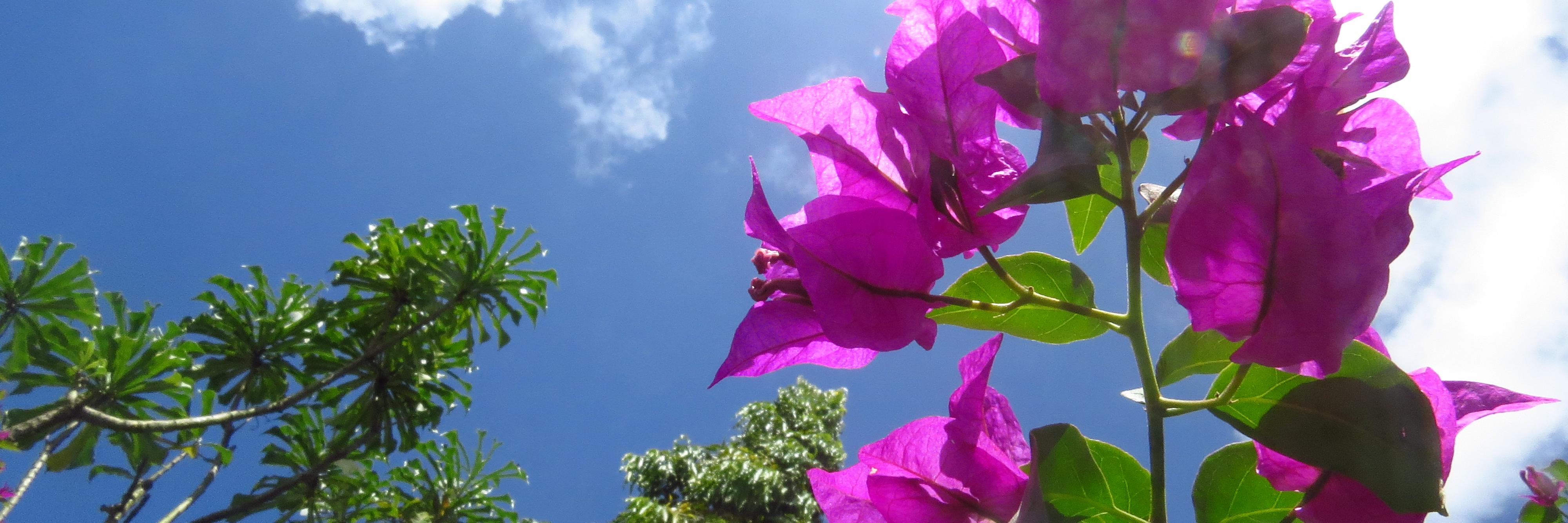 RavT425's profile banner image