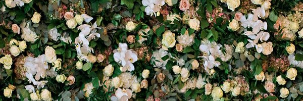 sammylebans Profile Banner