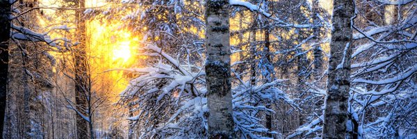 MorKarins Profile Banner