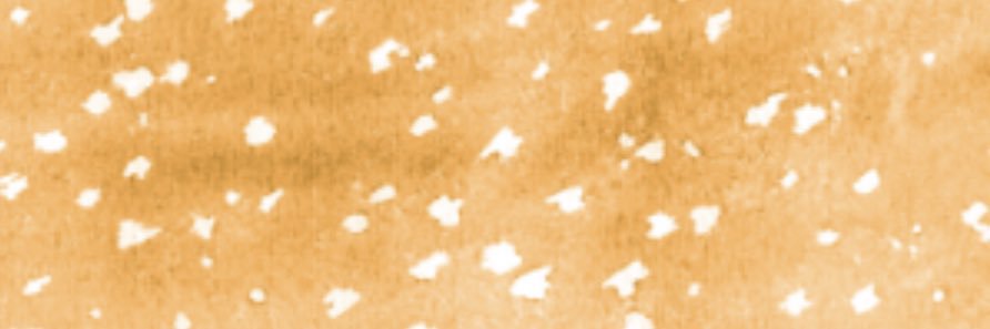 _KTOH__'s profile banner image