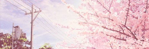 ChellieChelbu's profile banner image