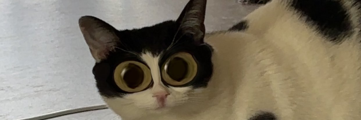 MforMusty's profile banner image