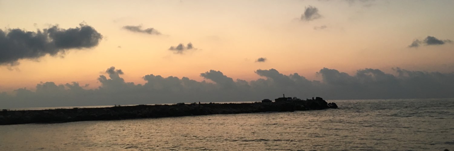 nurscoskun's profile banner image