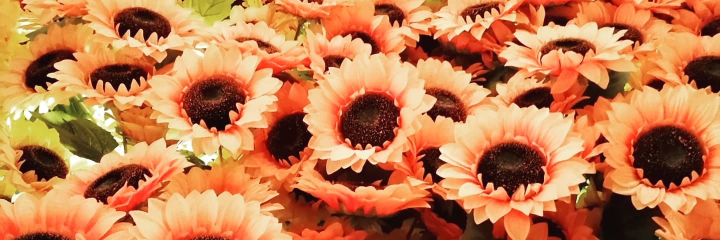 LaurenNoding's profile banner image