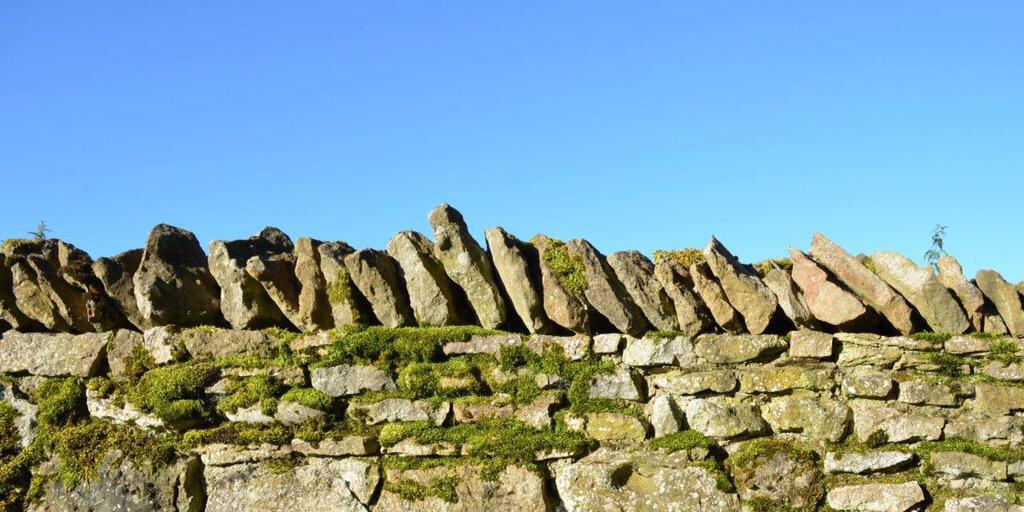 georgschmolz's profile banner image