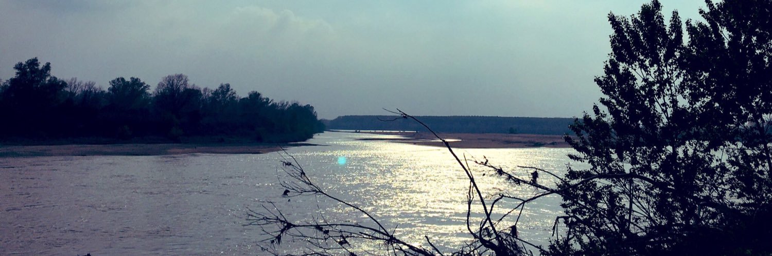 NPersegani's profile banner image