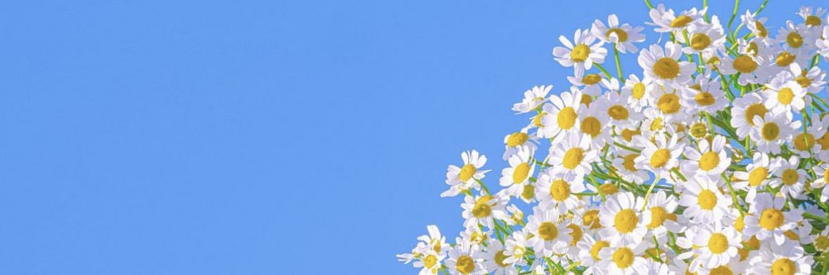 Agusmorales96's profile banner image