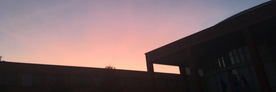madamedrolee's profile banner image