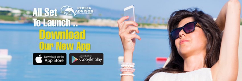 RedSeaAdvisor's profile banner image
