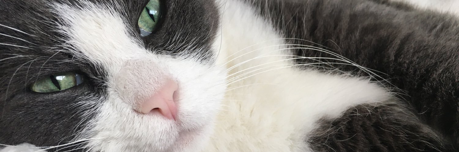 CathyJ101's profile banner image