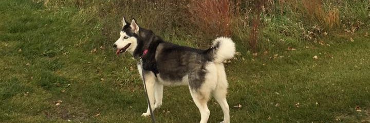 MikeWaldner's profile banner image