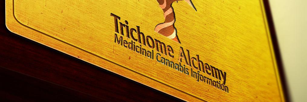 trichomealchemy's profile banner image