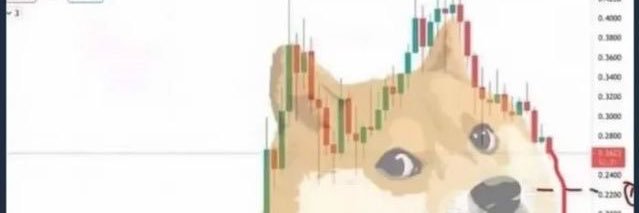 werner9102's profile banner image