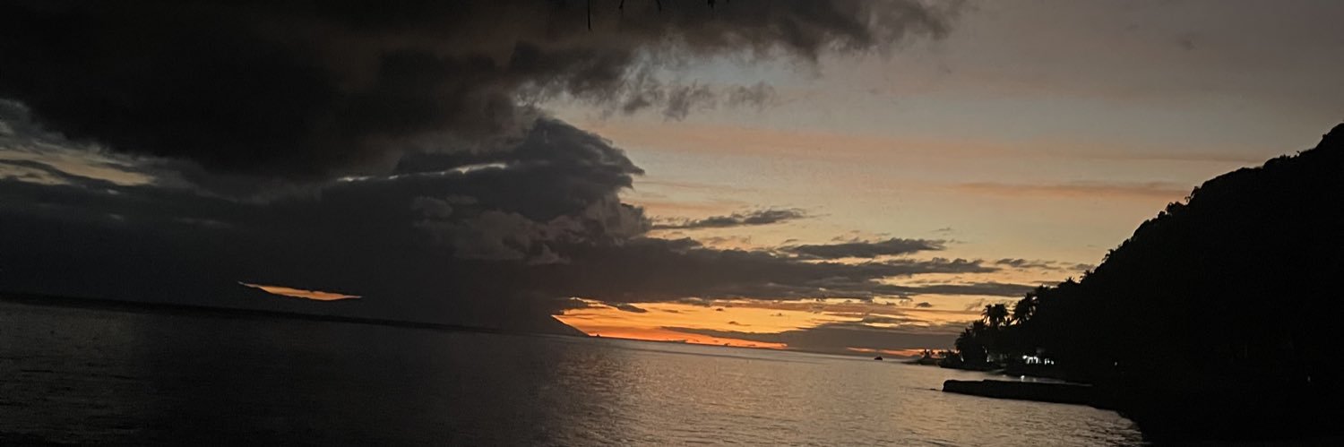 plvarada's profile banner image