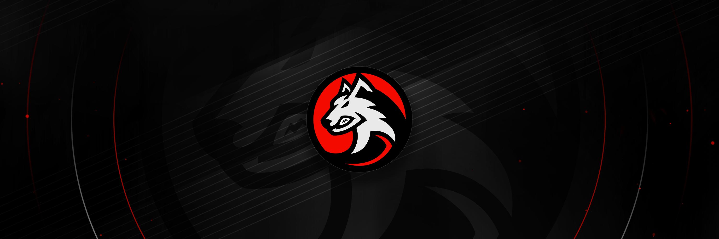DjWulf banner