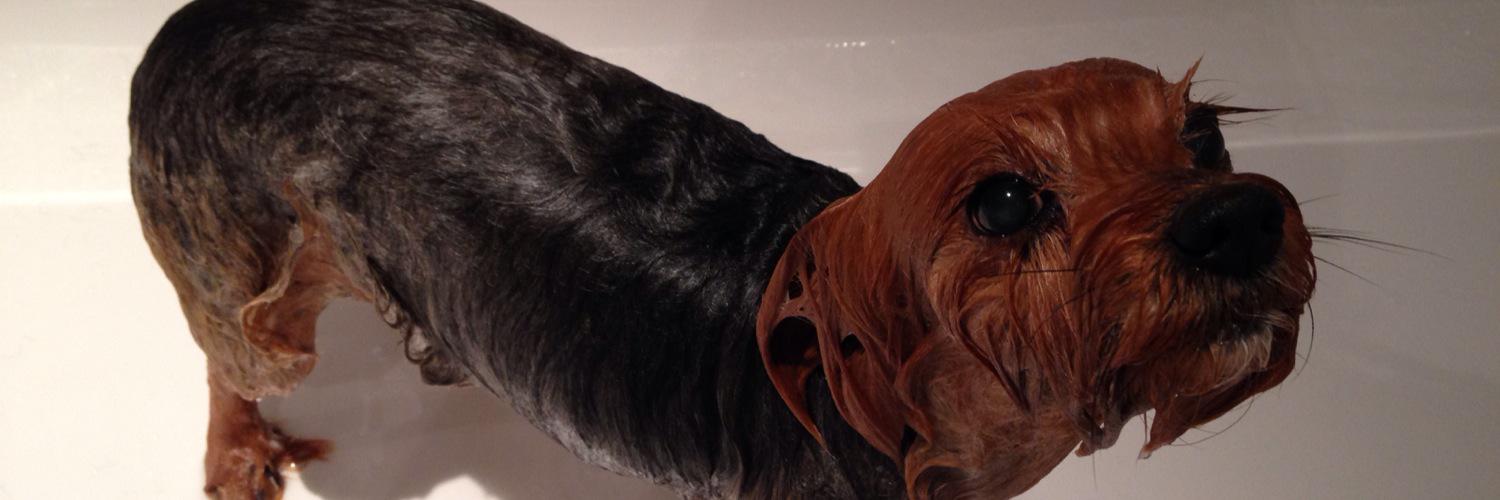 crazy_craigster's profile banner image