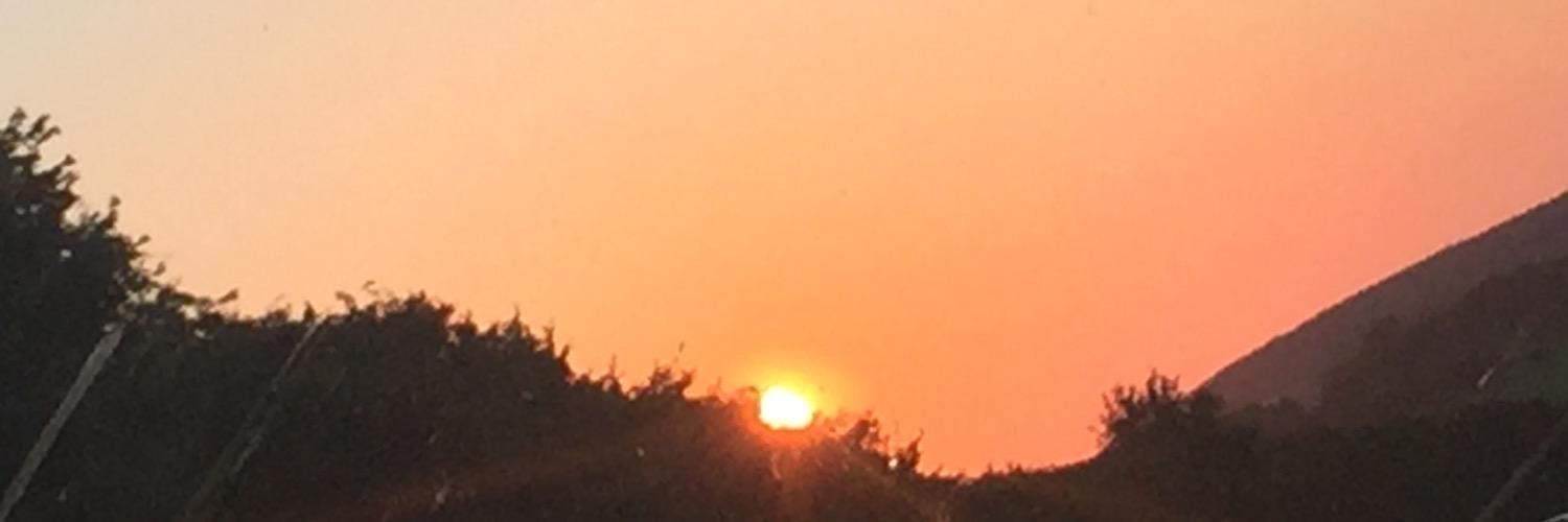 Sonam_718's profile banner image