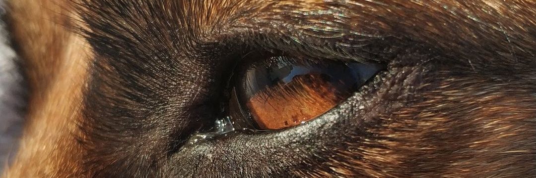 raquelmj7's profile banner image