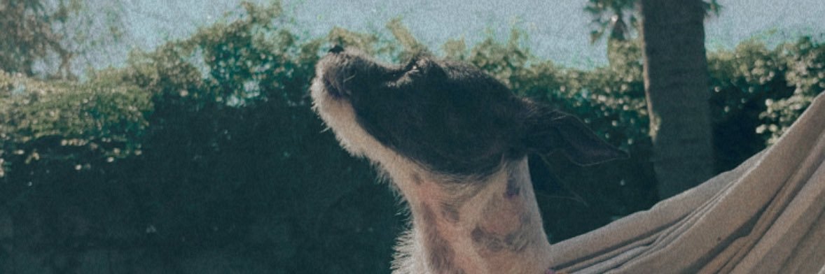 Eloooooc's profile banner image