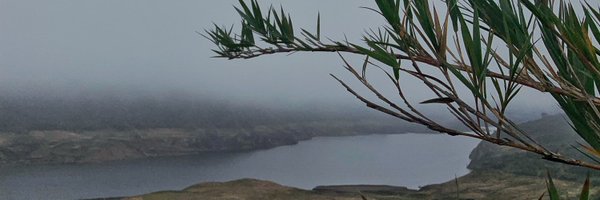 stobonj Profile Banner