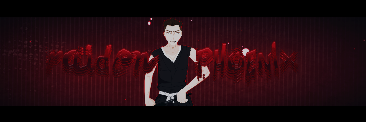 RaidenPhoenix99's profile banner image