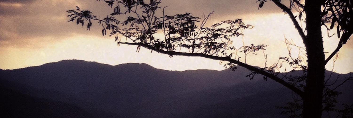 SimonaCeolin's profile banner image