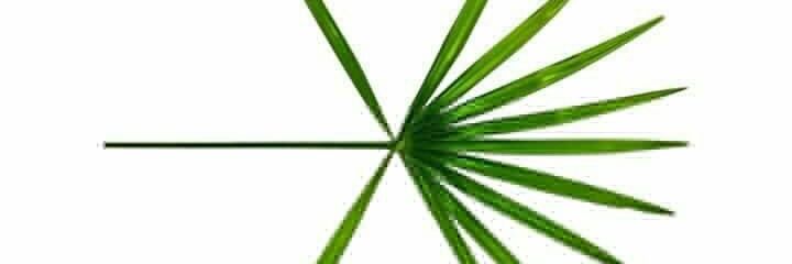 AGabiiHi's profile banner image