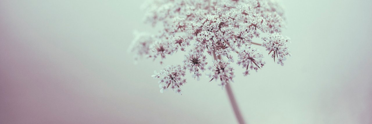 tiny_suga's profile banner image